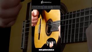 Rumba Flamenco Solo  Guitar Tutorial with TABs [upl. by Teryn]