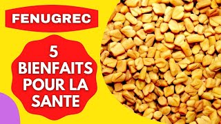 FENUGREC  5 BIENFAITS POUR LA SANTE [upl. by Ratep]