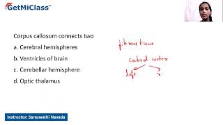 Corpus callosum [upl. by Loutitia]