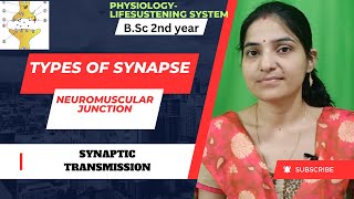 Types Of Synapse Bsc 2nd yearSynaptic TransmissionNeuromuscular Junctionsynapses4thsemestre [upl. by Sidras]