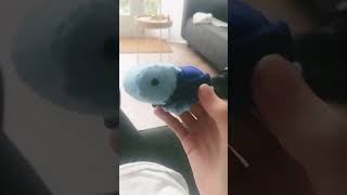 Schildpad gemaakt van vilt💙🐢 diy [upl. by Narmi16]