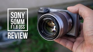 Sony 50mm F18 OSS Review 2017  Sony a6000 Image Samples [upl. by Hcire]