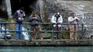 Discover trout fishing in Missouri [upl. by Body85]