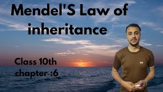 MendelS Law of Inheritance in urduHindi  Class 10th chapter 6 [upl. by Uticas519]