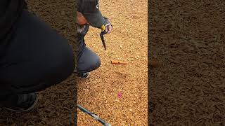 November 12 2024 metal detecting metaldetecting [upl. by Kaazi]