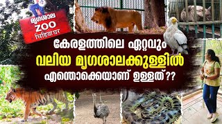 WHAT TO SEE Inside the Largest ZOO in kerala I Thiruvananthapuram zoo I Zoological Park Trivandrum [upl. by Drareg]