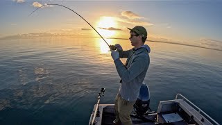 Moreton Bay  Shallow Reef Fishing with BFS Gear [upl. by Kiley]