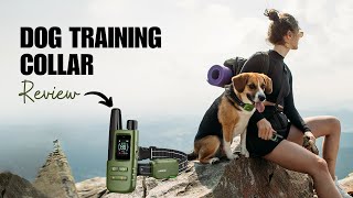 Is the Jugbow Dog Training Collar Worth It InDepth Review [upl. by Anilegnave]