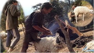 How to Wool Shearing Primitive Style The Himalayan shepherd in sheep farm Nepal [upl. by Paris]