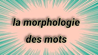 la morphologie des mots [upl. by Athallia]