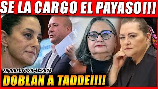 SIENTAN DE PURAS NACHAS A TADDEI LA PRESIDENTA PONE EN SU LUGAR A ENRIQUE ALFARO [upl. by Laikeze]