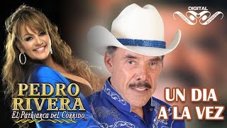 Un Dia A La Vez  Pedro Rivera a Dueto con Jenni Rivera con Mariachi [upl. by Ajtak496]