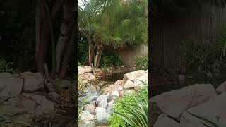 The Farm Al Barari pt 2 Dubai UAE thefarmalbarari [upl. by Airtemak65]