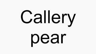 How to pronounce Callery pear [upl. by Renraw]