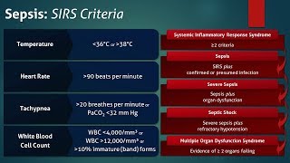 Sepsis Systemic Inflammatory Response Syndrome SIRS Criteria [upl. by Vine943]