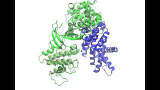 Flexibility of CDKCyclin Complexes [upl. by Nifled]