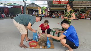 Frog Farming Techniques  Harvesting from frogs and coconut pupae  Daily Farm Thao [upl. by Janeva231]