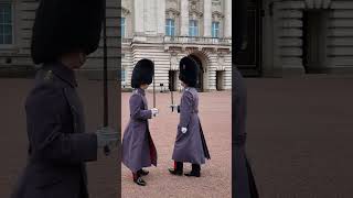 Grenadier Guards Pace the Minutes at the Changing of the Guard 03032023 [upl. by Ainna]