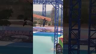 Competition waterpark trampoline fun viralvideo funny triding [upl. by Atalayah]