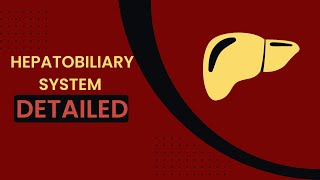 Hepatobiliary system  liver histology  anatomical and functional lobule  blood bile flow [upl. by Tomkiel841]