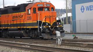 Dangers of Rail Yards hopping freight trains [upl. by Sollows660]