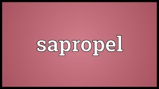 Sapropel Meaning [upl. by Ettereve]