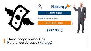 Pagar recibo de Gas Natural desde casa Online Naturgy en solo 5 minutos [upl. by Conny]