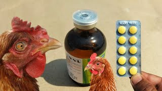 Antipyretic and Antibacterial for Chickens  Florfenicol 30   Dr ARSHAD [upl. by Honna514]