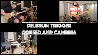 Coheed and Cambria  Delirium Trigger Quarantine Cover [upl. by Imoen]