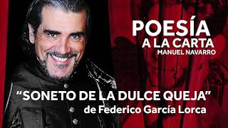 quotSONETO DE LA DULCE QUEJAquot de Federico García Lorca [upl. by Eat408]