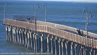 Cayucos Beach Webcam  805 Webcams  Nov 13 2024 Recap Offshore Winds Big Swell [upl. by Fisoi]