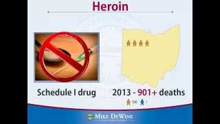 Naloxone Educational Video [upl. by Alehc432]