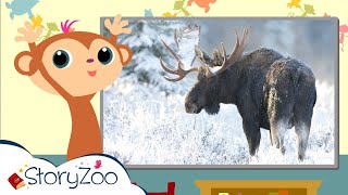 StoryZoo  StoryZoo at School  Learn amp Play  Winter Animals  Educational Videos for Children [upl. by Heyra]