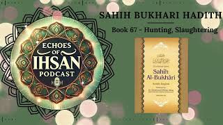 Echoes of Ihsan Podcast  Sahih Bukhari Hadith Book 67  Hunting Slaughtering [upl. by Aneelahs]