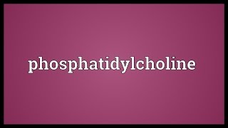 Phosphatidylcholine Meaning [upl. by Millan]