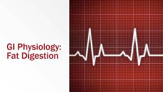GI Physiology Fat Digestion [upl. by Giza]