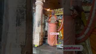 Todays Mantralayam Shri Raghavendra Swamy Moola Brindavana Alankara Darshana  27 Oct 2024 [upl. by Anetsirk692]