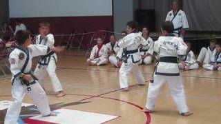 Black Belt Kids Team Formwmv [upl. by Weaks]