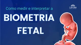 Webinar CAPDIM  Biometria Fetal [upl. by Valorie]