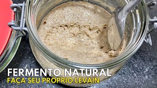 COMO FAZER FERMENTO NATURAL FAÇA SEU PRÓPRIO LEVAIN E USE EM RECEITAS DE PÃO CASEIRO horadogrude [upl. by Salli483]