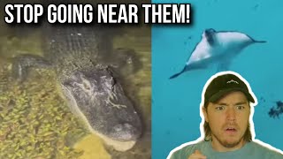 Fish Biologist Reacts To Terrifying Fish Encounters [upl. by Annairdua]