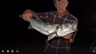 SO MANY FISH WHITE MARK minehead beachfishing bristolchannel [upl. by Diet]