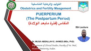 lecture 5 PUERPERIUM Postpartum Period Obstetrics and Fertility Management Course Alsalam Uni [upl. by Siclari]