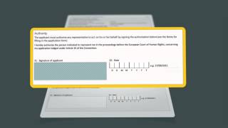 ENG ECHR  The correct way to lodge an application with the Court English Version [upl. by Croom821]
