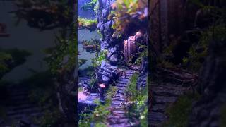 Relaxing aquascaping 💆🏻‍♀️ natureaquascape aquascapeaquarium fishtank [upl. by Harol704]