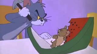 Tom and Jerry Cartoon The Tom and Jerry Cartoon Kitmp4 [upl. by Imelda]