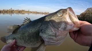 James River Bass Fishing Bucca 4x4s fall fishing [upl. by Hairacaz407]