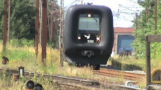 Grenzbahnhof Padborg ICE TD 3x DSB IC3 2x sechsachser Baureihe EG von DBS Green Cargo [upl. by Casimire586]