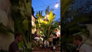 Garden Grooves 2 jazz mambo salsa salsacubana gardengrooves drummer percussion pianomusic [upl. by Sivel]