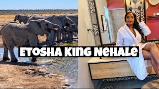 Our Weekend in the Royal Kingdom  Etosha King Nehale  Namibia Safari [upl. by Inaej]